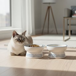 10 Strawberry Street Ears Up Elevated Cat Bowl, Blue, 7-oz, 2 count slide 2 of 5