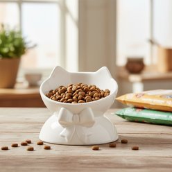 10 Strawberry Street Pretty Whiskers Elevated Cat Bowl, White, 7-oz, 2 count slide 2 of 5