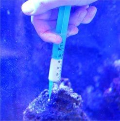 ASF Zap-Tasia Aiptaisa Remover Marine Aquarium Treatment, 20 count slide 2 of 8