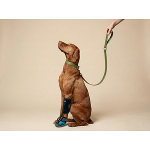 Labra Canine No Knuckling Corrector Toe Dragging Drop Foot Dog Boot Shoe, X-Large