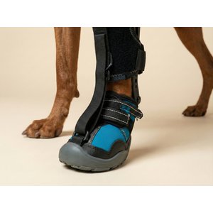Labra Canine No Knuckling Corrector Toe Dragging Drop Foot Dog Boot Shoe, X-Large