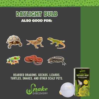 Show full view: Snake Discovery Daylight Reptile Bulb, 150-watt slide 6 of 7
