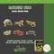 Show in main carousel: Snake Discovery Daylight Reptile Bulb, 100-watt slide 6 of 7