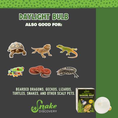 Show full view: Snake Discovery Daylight Reptile Bulb, 100-watt slide 6 of 7