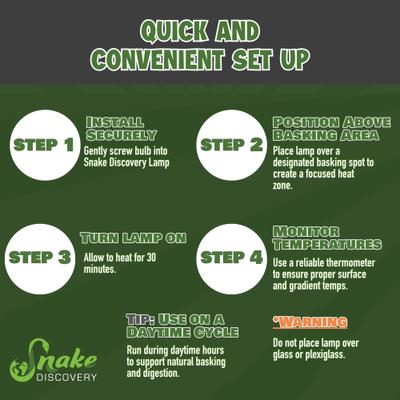 Show full view: Snake Discovery Reptile Basking Bulb, 100-watt slide 7 of 8