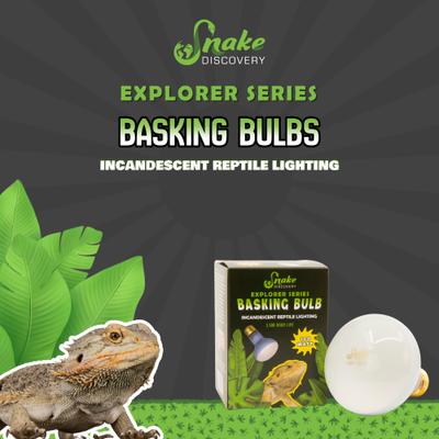Show full view: Snake Discovery Reptile Basking Bulb, 100-watt slide 4 of 8