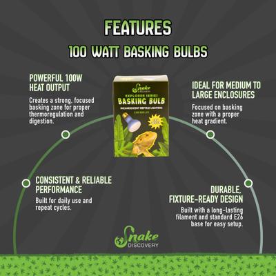 Show full view: Snake Discovery Reptile Basking Bulb, 100-watt slide 5 of 8