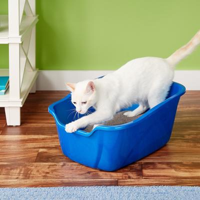 VAN NESS High Sides Cat Litter Box, Blue, Large - Chewy.com