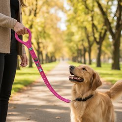 PYNZ Dog Leash, 3-ft long, 1.75-in wide, Nelly Coconut slide 2 of 9