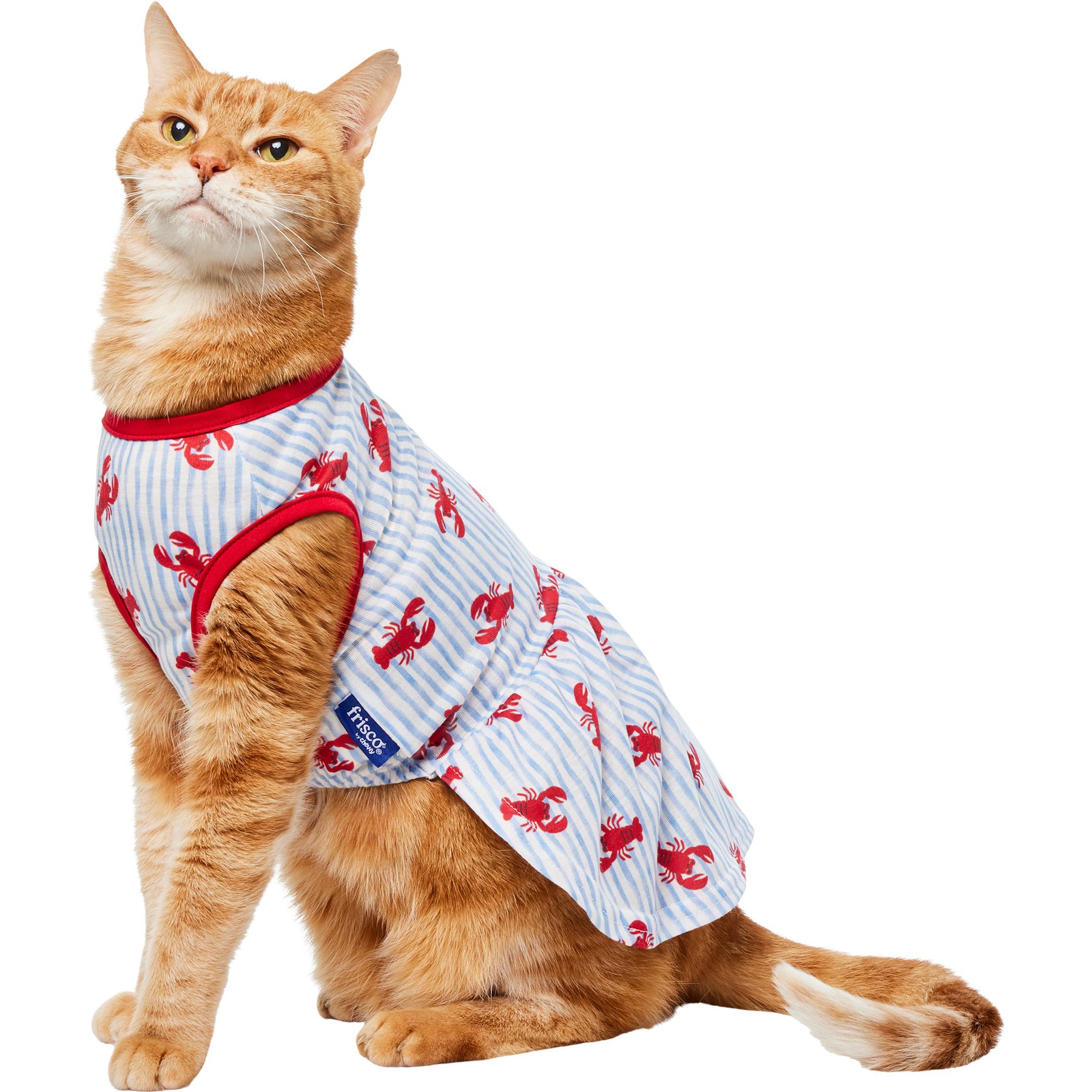 Frisco Ruffle Hem Dog & Cat Dress, Lobster Stripe, Small