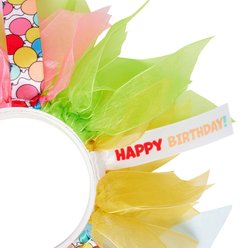 Frisco Balloon Party Hat & Ruffle Collar Cat Birthday Accessory, One Size slide 2 of 7