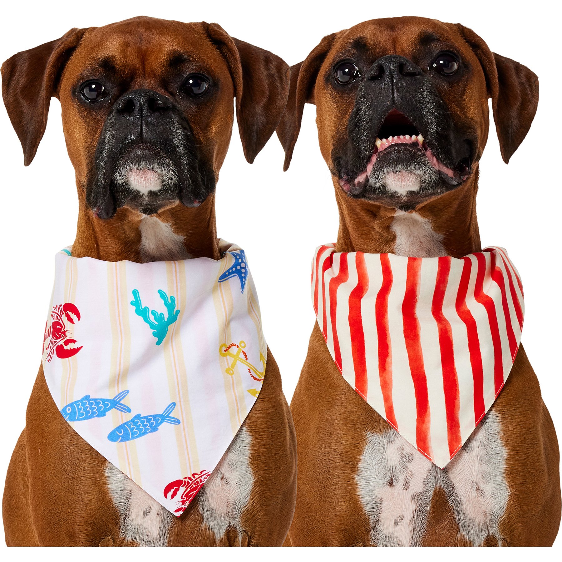 Frisco Coastal Sea Creatures & Stripe Dog & Cat Reversible Cotton Bandana, X-Large/XX-Large