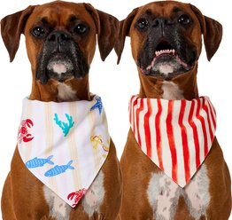 Frisco Coastal Sea Creatures & Stripe Dog & Cat Reversible Cotton Bandana, X-Large/XX-Large