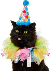 Frisco Balloon Party Hat & Ruffle Collar Cat Birthday Accessory, One Size