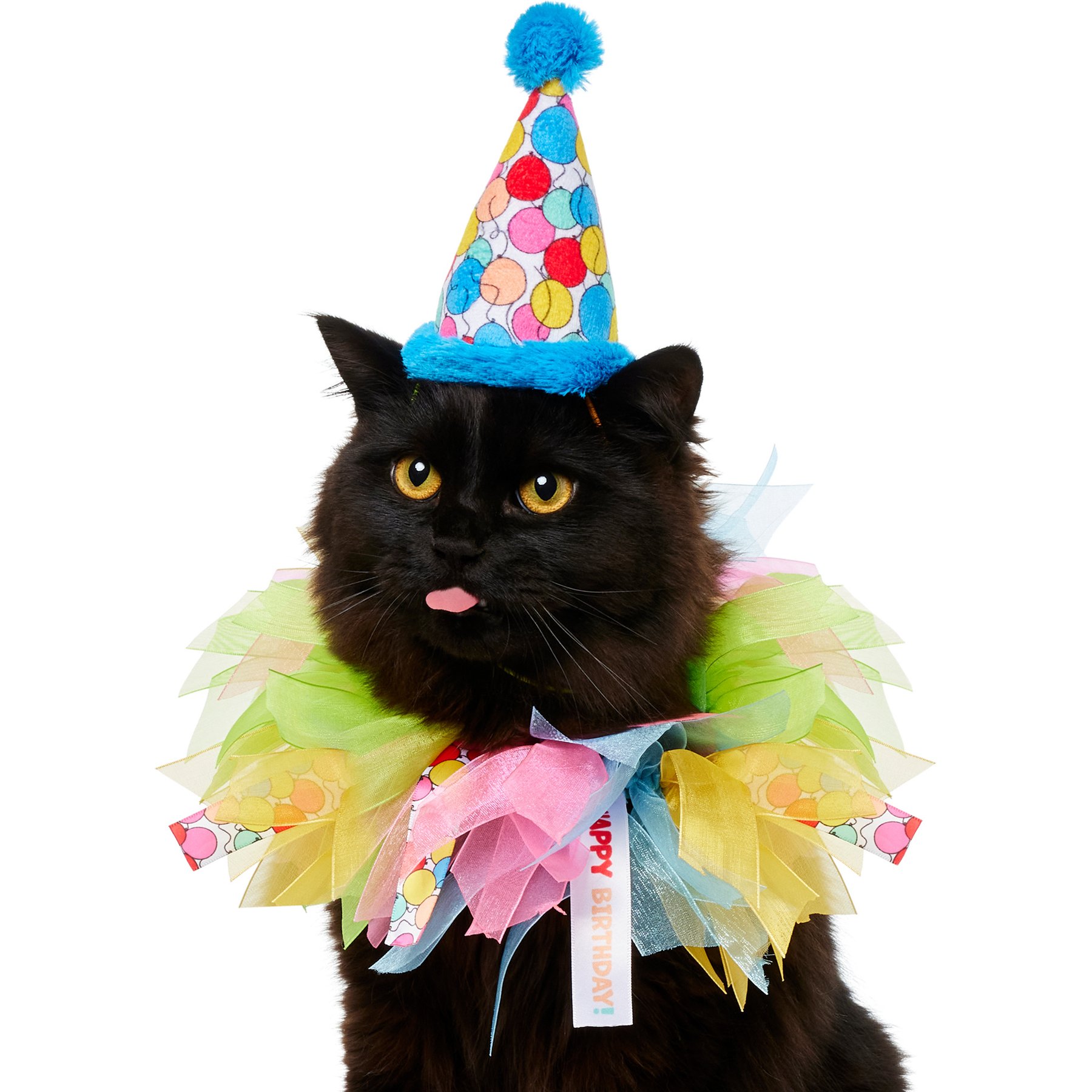 Frisco Balloon Party Hat & Ruffle Collar Cat Birthday Accessory, One Size