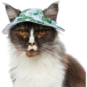 Frisco Palm Leaf Short Brimmed Bucket Dog & Cat Hat, Palm Leaves, X-Small/Small
