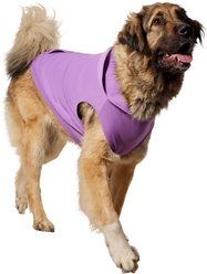 Frisco Basic Dog & Cat Hoodie, Spring Lavender, XXX-Large