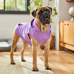 Frisco Basic Dog & Cat Hoodie, Spring Lavender, XX-Large slide 2 of 8