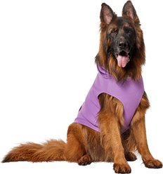 Frisco Basic Dog & Cat Hoodie, Spring Lavender, XX-Large