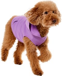 Frisco Basic Dog & Cat Hoodie, Spring Lavender, Large