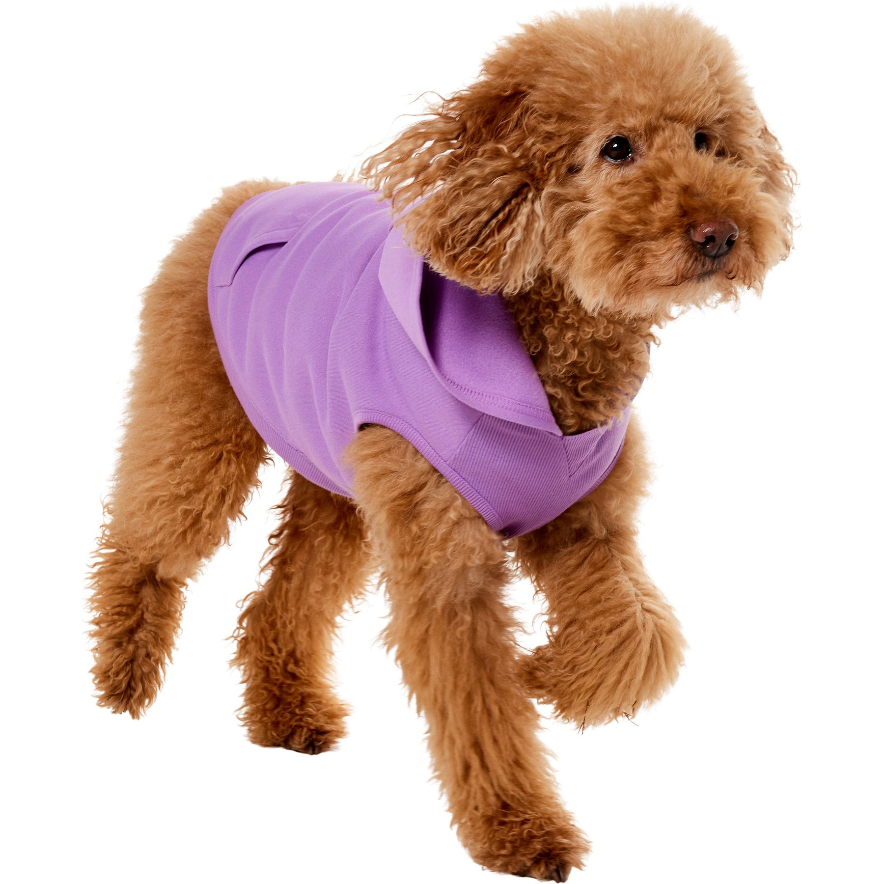 Frisco Basic Dog & Cat Hoodie, Spring Lavender, Large