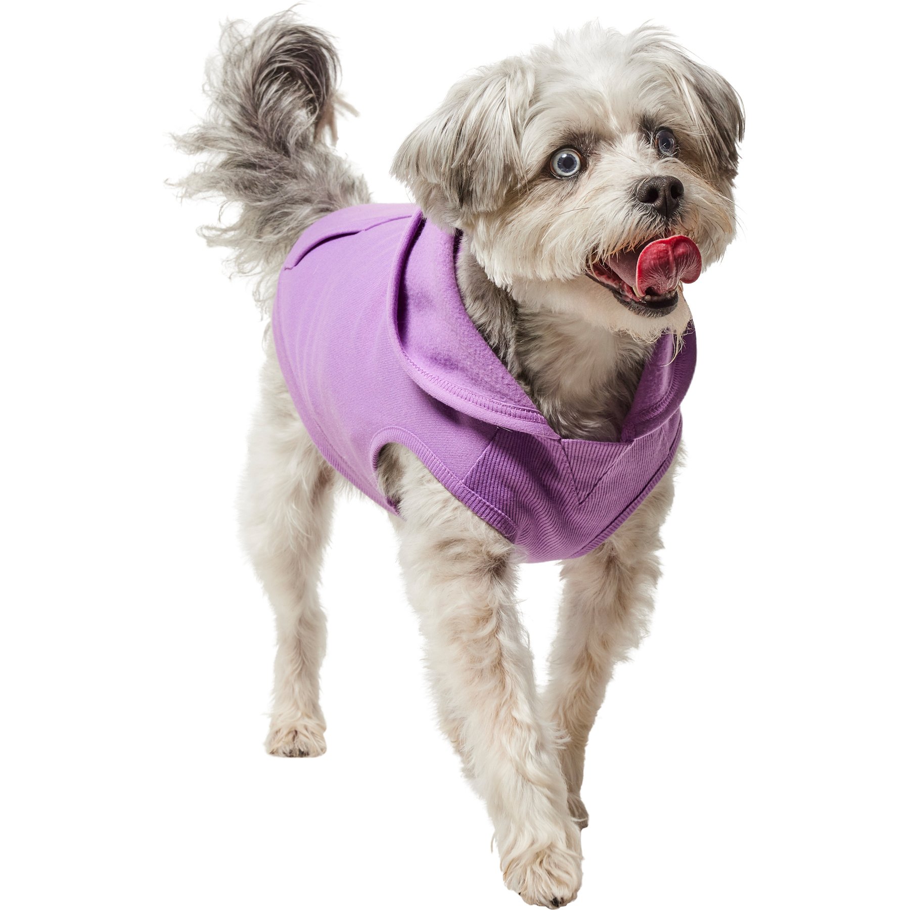 Frisco Basic Dog & Cat Hoodie, Spring Lavender, Medium