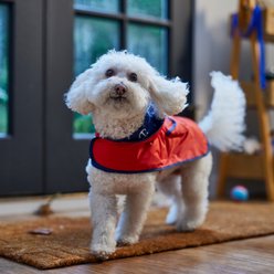 Frisco Coastal Packable Reversible Dog Hooded Raincoat, Anchors & Red, Small slide 2 of 8