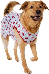 Frisco Ruffle Hem Dog & Cat Dress, Lobster Stripe, XX-Large