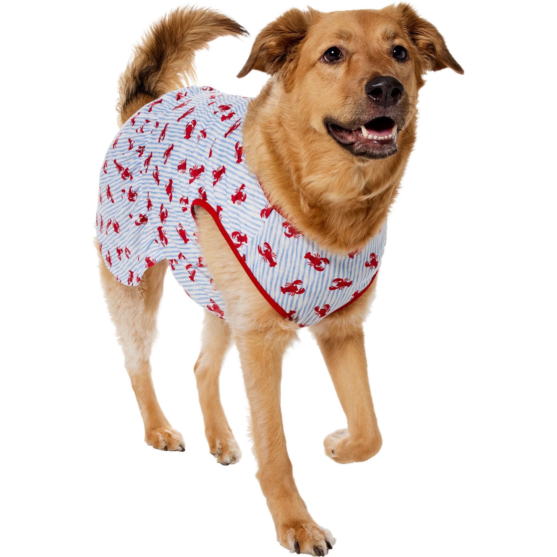 Frisco Ruffle Hem Dog & Cat Dress, Lobster Stripe, XX-Large