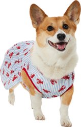 Frisco Ruffle Hem Dog & Cat Dress, Lobster Stripe, Large