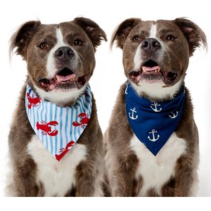 Frisco Coastal Lobster Stripes & Anchors Dog & Cat Reversible Cotton Bandana, X-Large/XX-Large