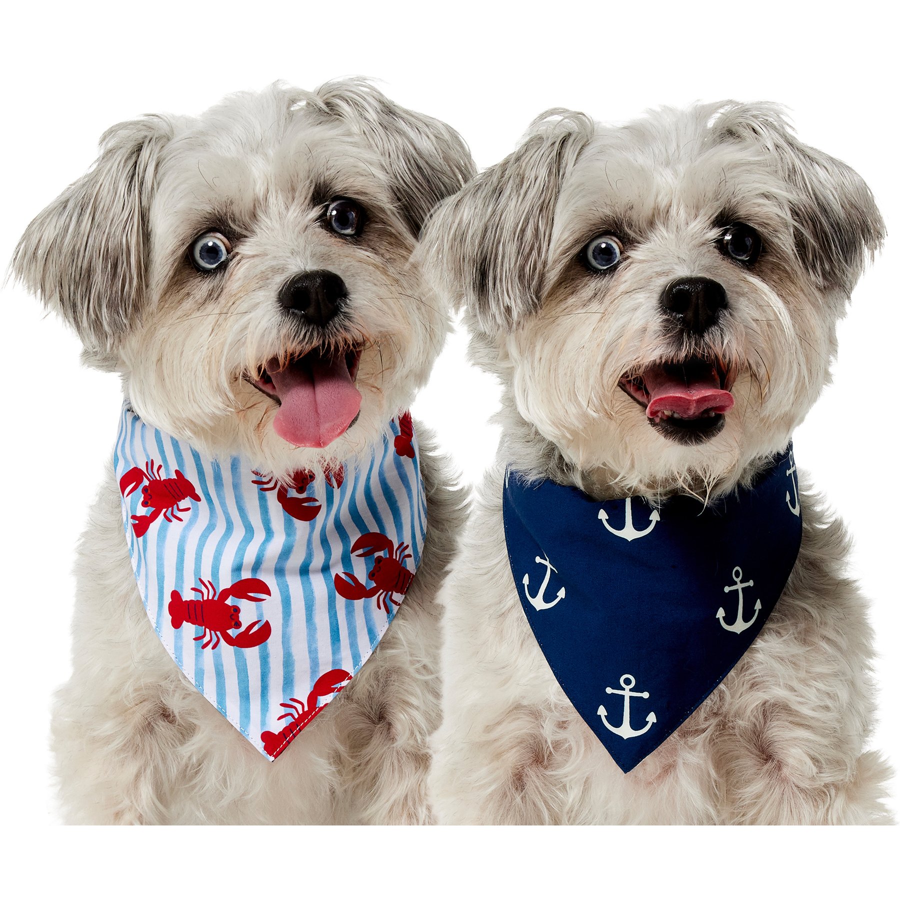 Frisco Coastal Lobster Stripes & Anchors Dog & Cat Reversible Cotton Bandana, Medium/Large