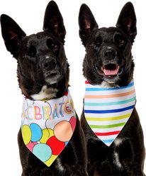 Frisco Celebrate Balloon & Stripe Dog & Cat Reversible Bandana, Medium/Large