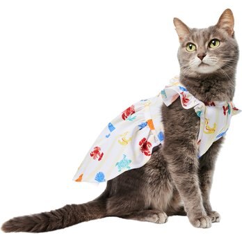 bridesmaid dresses for cats MissyMoMo Dog & Cat Dress with Sailor Collar, Cute Dress for Cats, XL, Medium Orchid