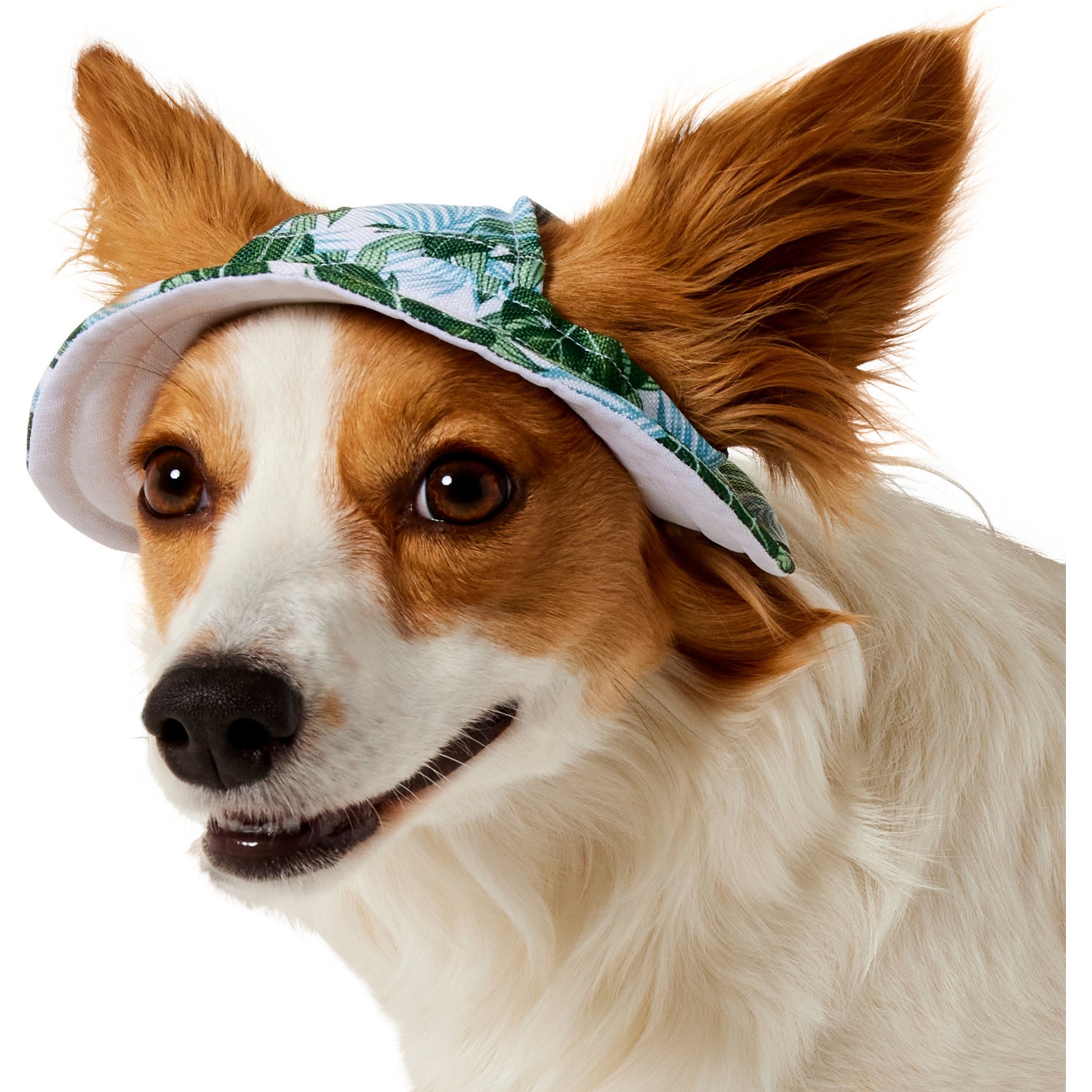 Frisco Palm Leaf Short Brimmed Bucket Dog & Cat Hat, Palm Leaves, X-Small/Small