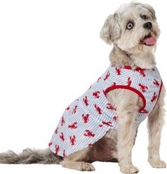 Frisco Ruffle Hem Dog & Cat Dress, Lobster Stripe, Medium