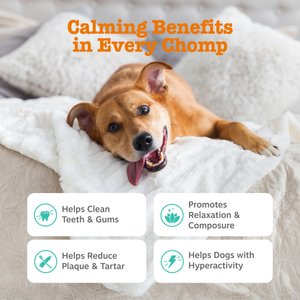 Zesty Paws Hemp Elements Calming Hemp OraStix Peppermint Flavored Dental Chews Melatonin Supplement for Dogs, 25-oz bag