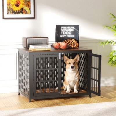 IronovaPets IronovaPets Heavy-Duty Metal Double-Door Dog Crate Furniture, Brown, Small: 32 inch