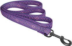 Wingo Outdoors Bowie Dog Leash, Amethyst, 6-ft long, 1-inch wide