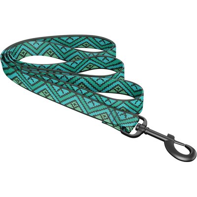 Wingo Outdoors Wingo Outdoors Bowie Dog Leash, Azure, 6-ft long, 1-inch wide