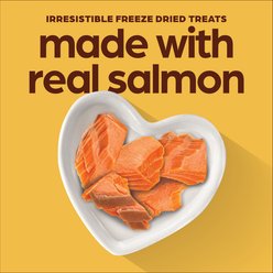Chewsday Salmon Freeze-Dried Dog Treats, 3-oz bag slide 2 of 8