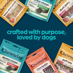 Chewsday Fresh Mint Flavor Large Dental Dog Chews, 5 count slide 2 of 8