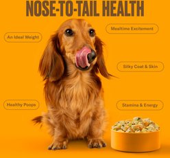 Nom Nom Scoopable Meal Clusters Chicken & Sweet Potato Recipe Frozen Dog Food, 6-lb bag slide 2 of 9