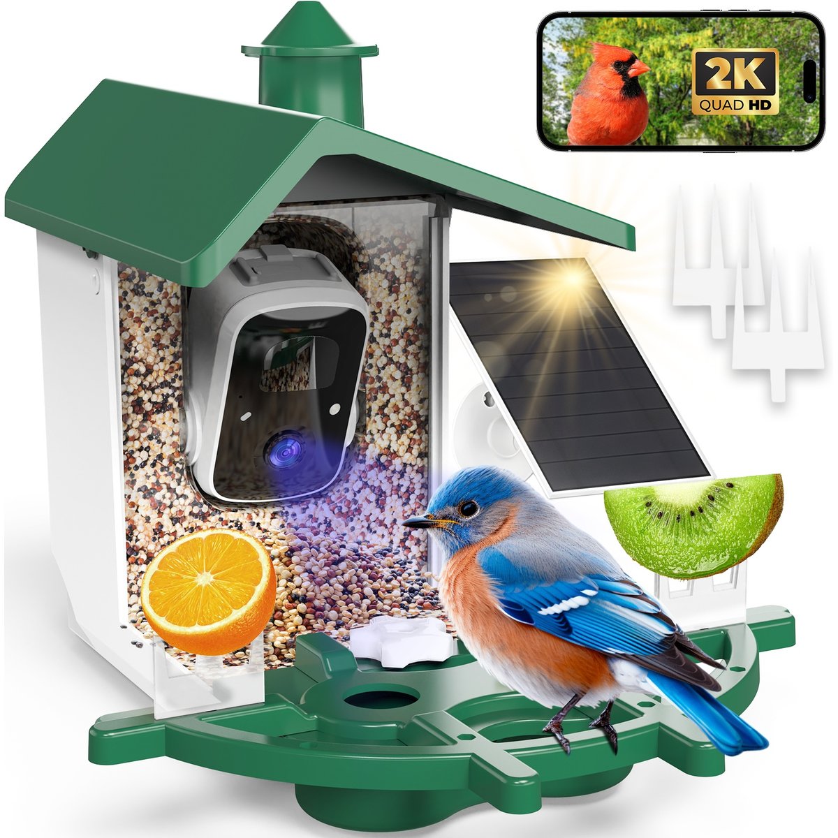 Mutrelenx Solar Powered AI Birds Recognition & Instant Alerts Outdoor Weatherproof Smart Bird Feeder with Camera, Green