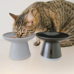 Necoichi Extra Wide Raised Basic Edition Non-Skid Elevated Cat Bowl, Grey, 1.5-cup, 2 count