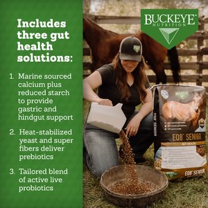 Buckeye Nutrition EQ8 Gut Health Multi-Textured Senior Horse Feed, 50-lb bag