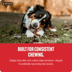 Natural Farm 3 to 5-inch Super Collagen Sticks Dog Chew Treats, 10 count slide 2 of 9