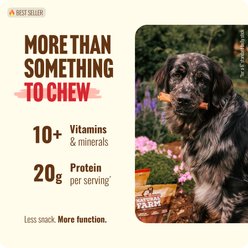Natural Farm Jumbo Beef Bully Sticks Dog Treats, 1 count, 6-in slide 2 of 9