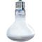 Show in main carousel: Arcadia Reptile GoldenSun Reptile Basking Flood Light, 100-watt, 12 count slide 4 of 4