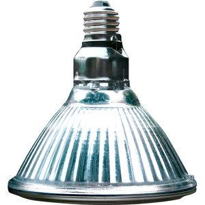 Arcadia Reptile GoldenSun Reptile Halogen Heat Lamp, 100-watt